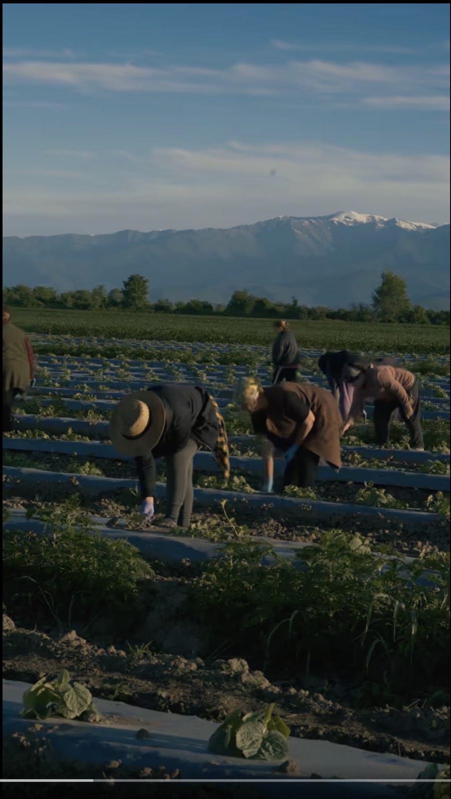 Our Produce
